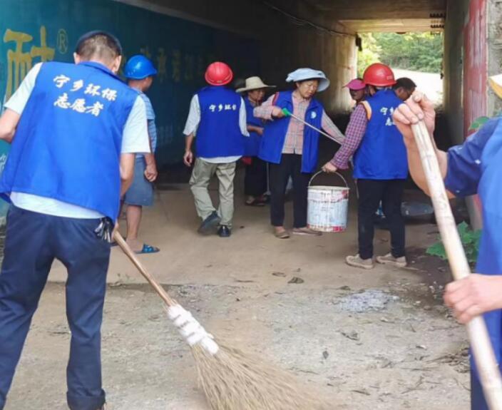 宁乡道林：“志愿蓝”助力人居环境“颜值”大提升