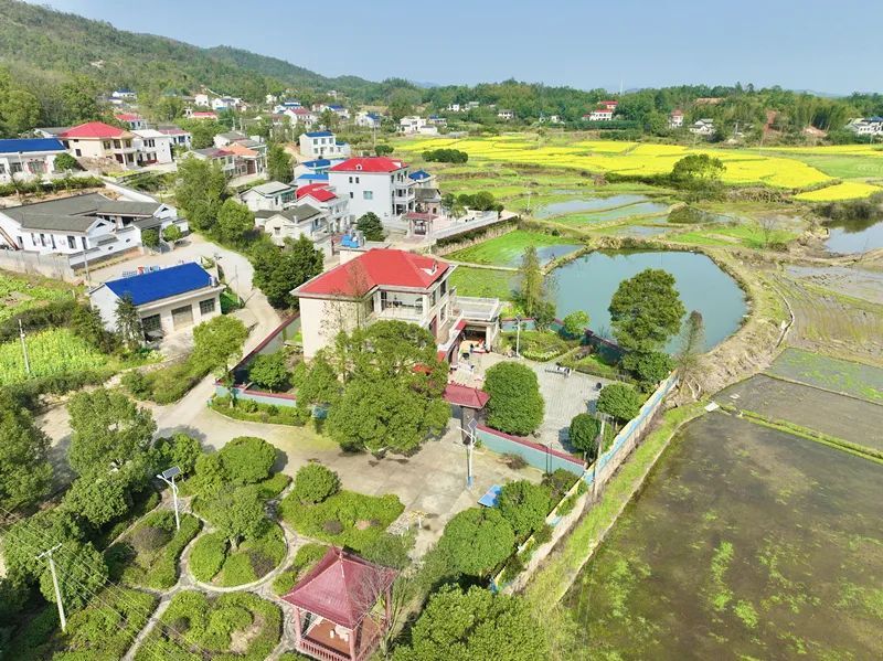 東湖塘鎮(zhèn)麻山村：踏實(shí) 傾情 惠民——駐村工作隊(duì)貼心服務(wù)促振興