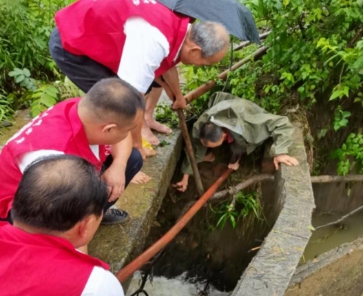 宁乡东湖塘镇：铸牢党建主心骨，共画“三长”共治同心圆