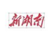 宁乡市横市镇：党建引领强治理 擎旗奋进谱新篇