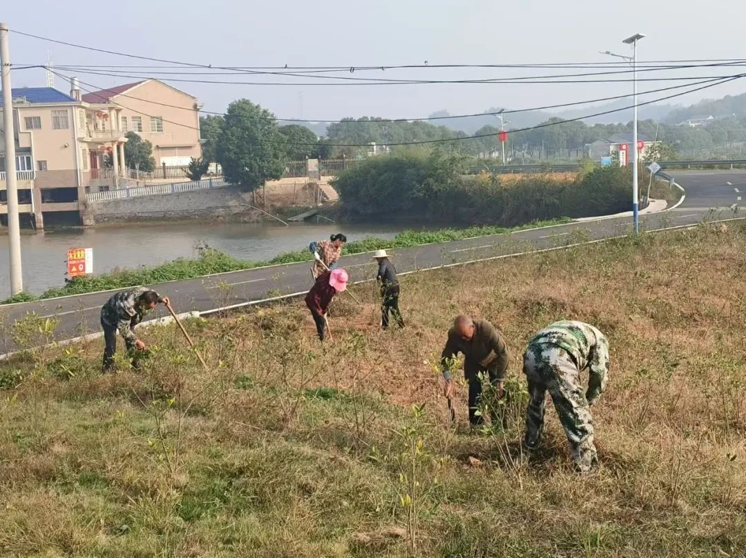 宁乡市喻家坳乡：细“治”入“微”，打造基层治理新图景