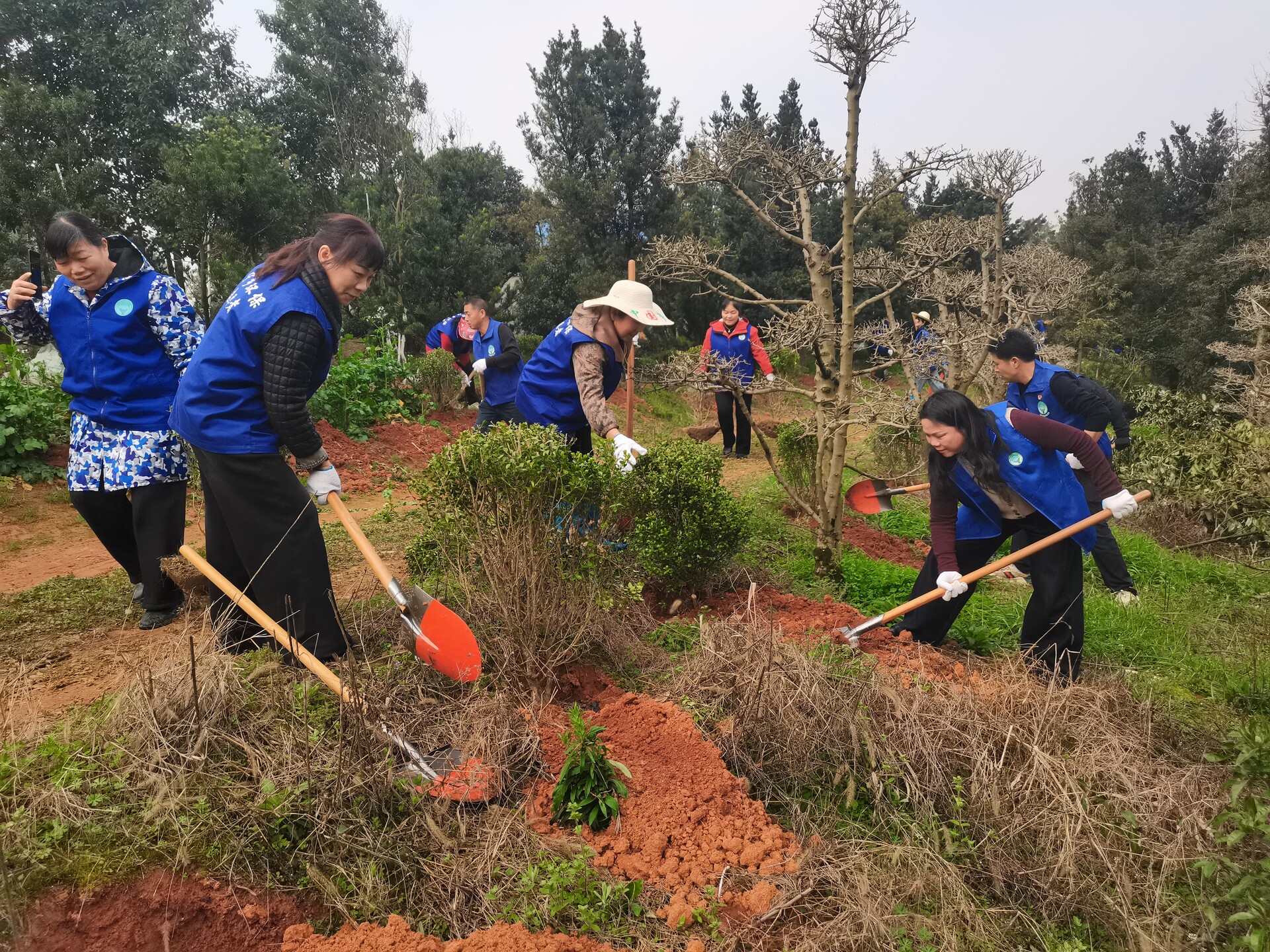 长沙绿洲科普基地多方联动 植树节共筑绿色家园
